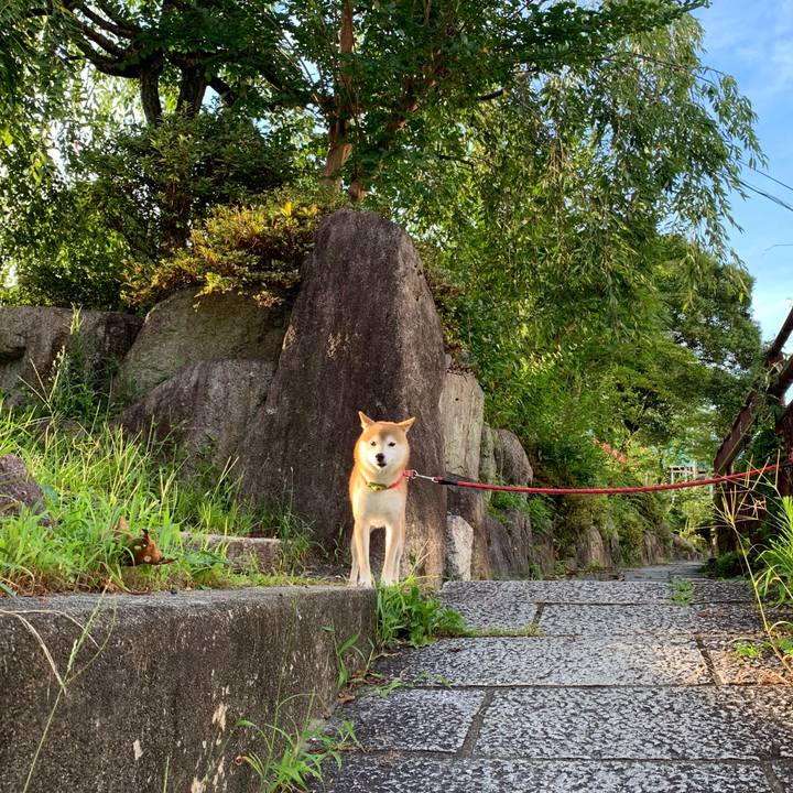 8d5c71a9 ccda 4768 ae3a 37478b6b461e 1597316773925