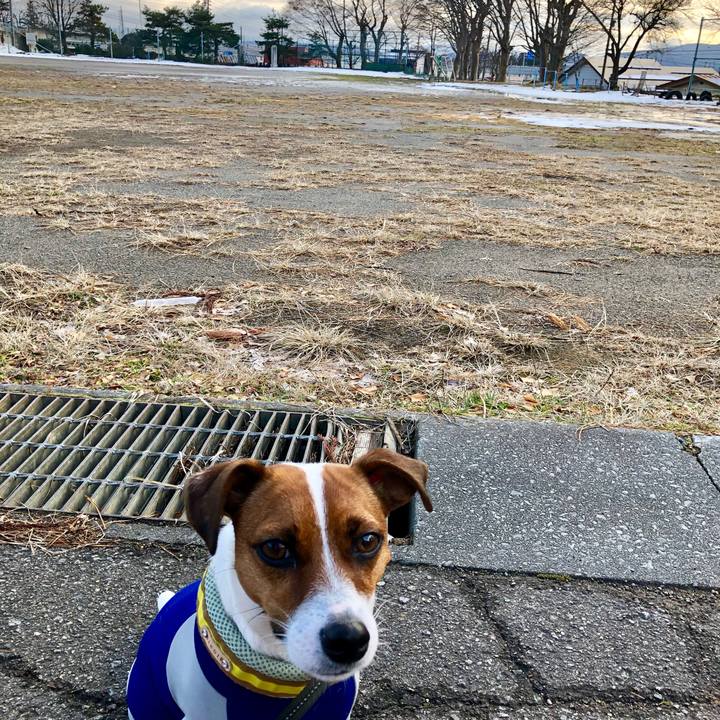 8d5cafe0 1ed9 4d63 ad49 47d7bd2a3095 1545477282198