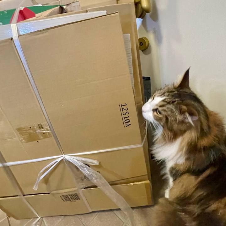 8d5cb842 26f8 4859 914b cde01a34ea8f 1675288677765