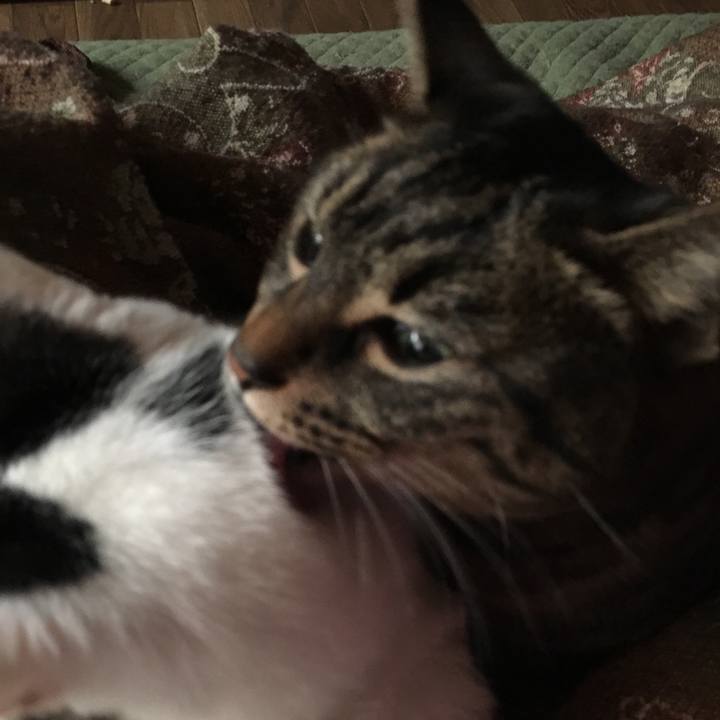 8d5cd655 918f 4f81 87c8 f1e701092f4f 1516535715575