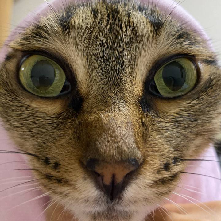 8d5cfd4a 036b 4ca2 80c8 250659ccdc36 1595069504433