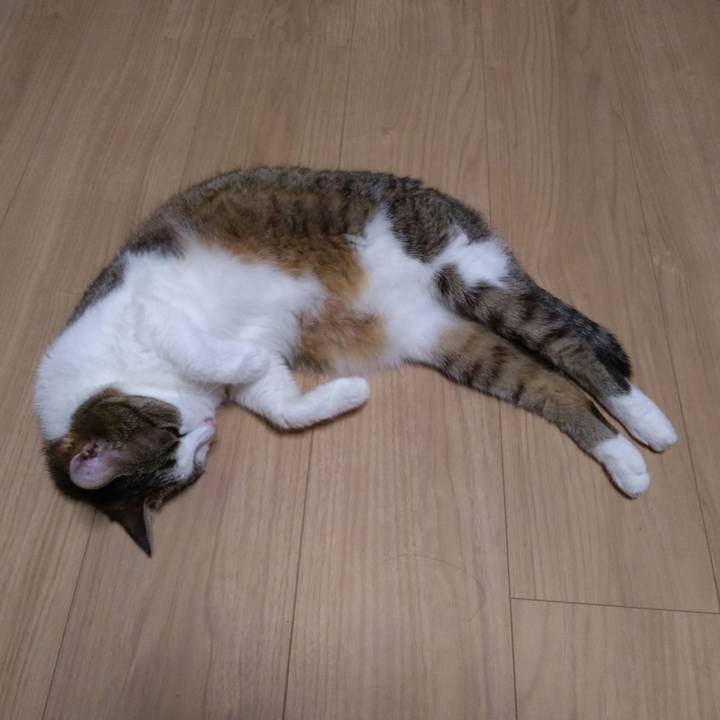 8d5d03fc 8261 4a56 8dc3 ee7136d3e52d 1530786965244