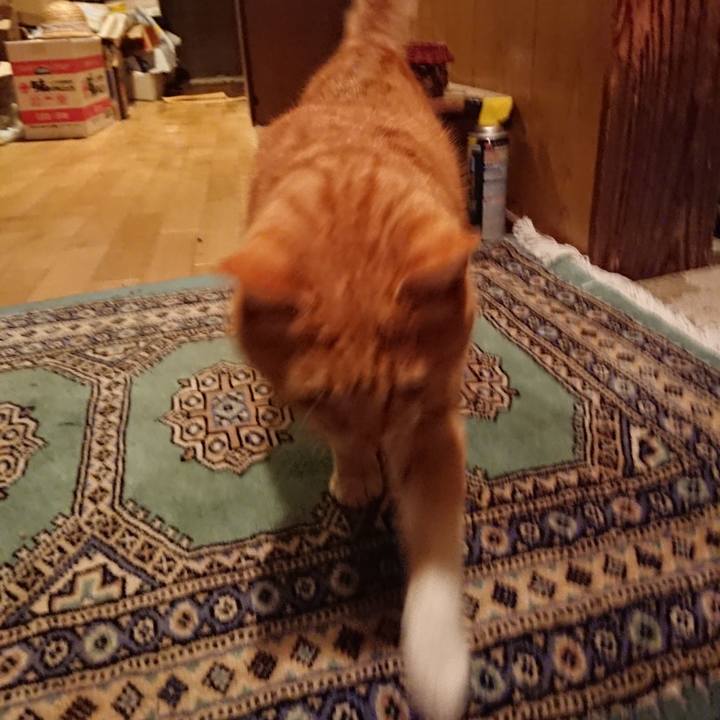 8d5d5eb6 891b 489e ab4a e0024a162388 1579082165719