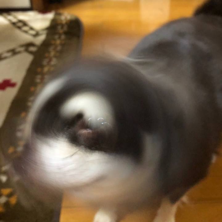 8d5d9652 b68c 4128 a836 9b98dcc6a687 1538866116022