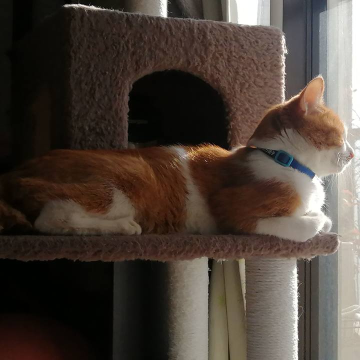 8d5daf43 b3ee 4caf a62e 7ce1cef52bc5 1672534957681