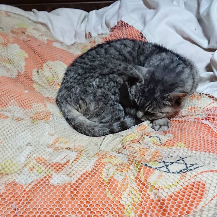 8d5dc620 79f5 478f b0d0 b876fc741fe5 1574511694595