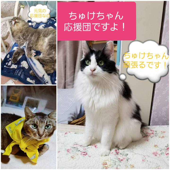 8d5dda69 8399 4577 8f09 7eeb18b19027 1565008012482