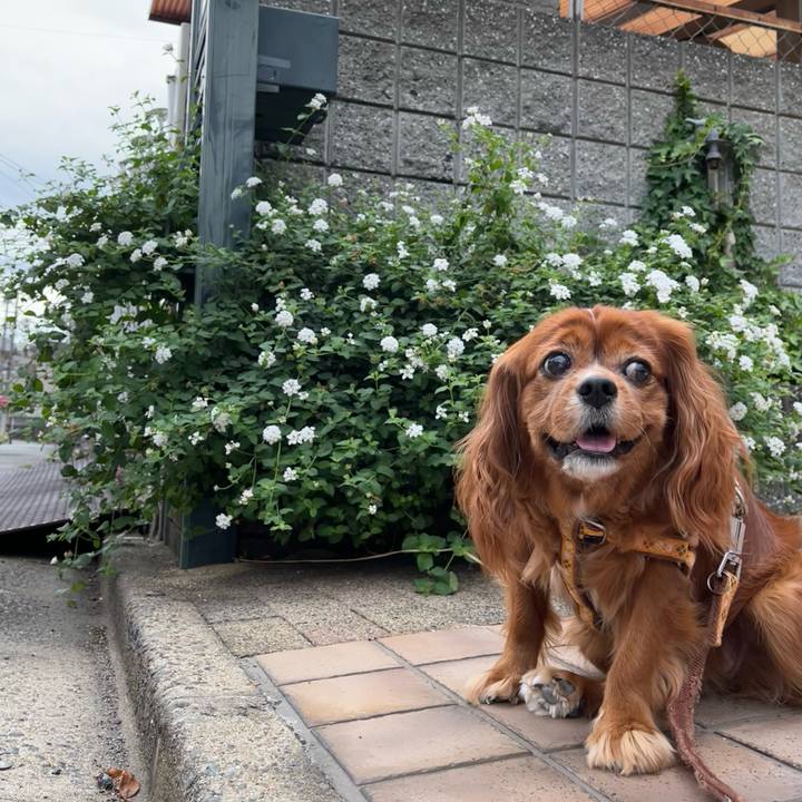 8d5de7ad 9762 4876 bdc4 2949c125a46c 1663542929397