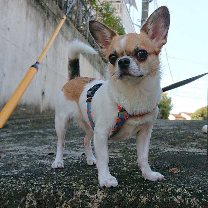 8d5deb08 b7b3 4bb6 887d bbd28123a7a6 1599262763961