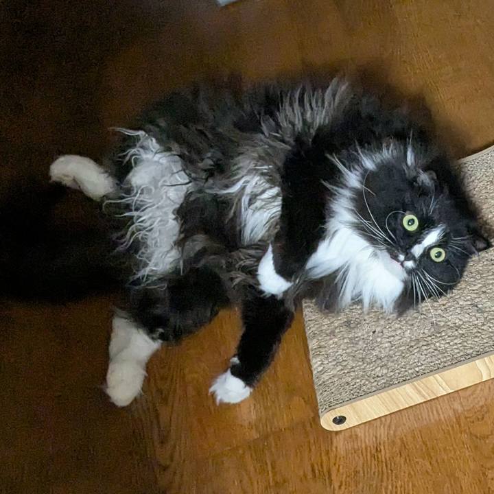 8d5e20d2 b557 4b3b 82b3 ecae1ce41fbe 1751202327000