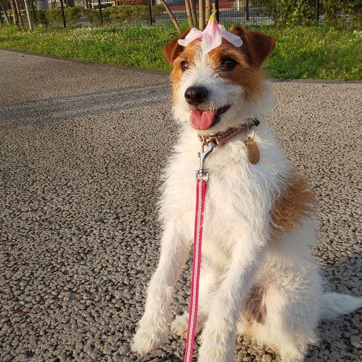 8d5e213c b42b 4df8 b264 b61bb9c03a96 1557133355980