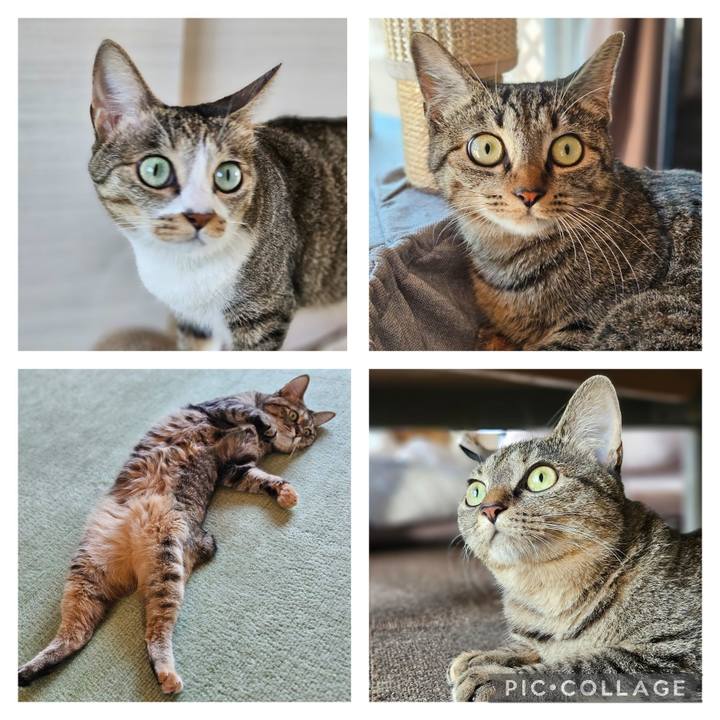 8d5e2af9 bf0c 48c1 a9d3 701a0118cb0c 1755390624026