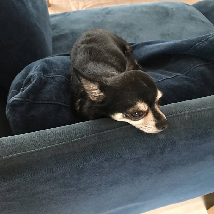 8d5e5d0d 6198 4048 b6a0 90095f459647 1555973479118