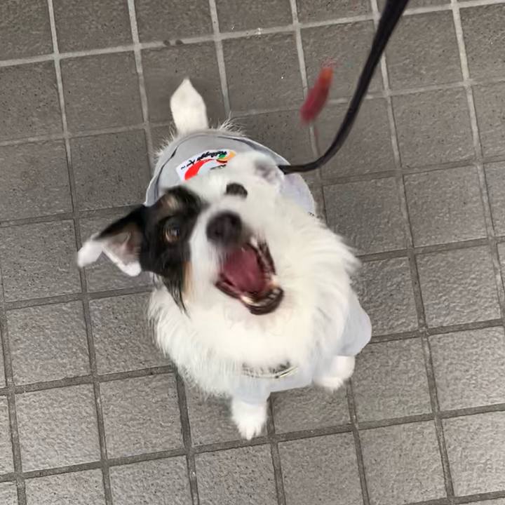 8d5e90c1 d459 46d9 9cdd d7613c66904d 1686469202330