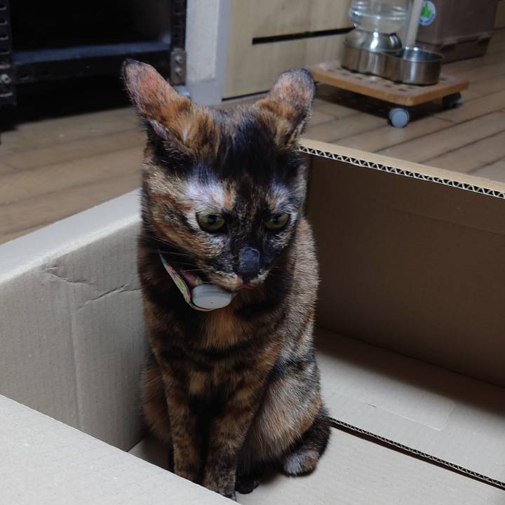 8d5e9edf 08e7 40b3 991b 0548dd459736 1634914591150