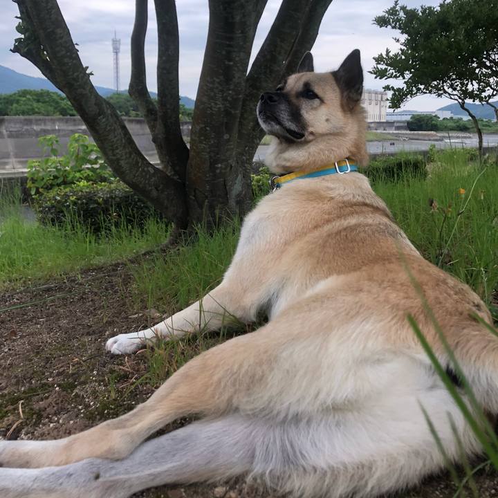 8d5eb101 f0bd 479f a2c5 450a915fd2ed 1631273852888