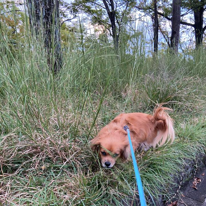 8d5ec852 f371 4479 9ed7 413f43c712a5 1602625438312