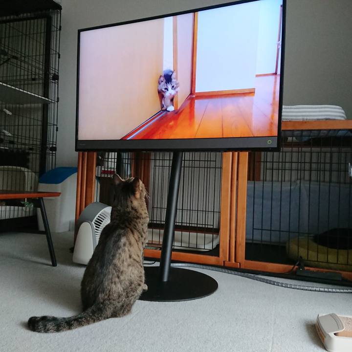 8d5f1bd8 5c53 43f1 b08b 73aaf61a921b 1599899706721