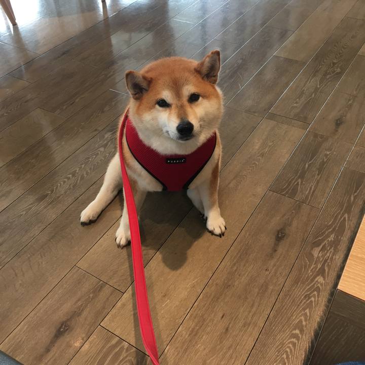 8d5fc94b 6a90 4ce4 840e 9c3355fc997e 1595921147744