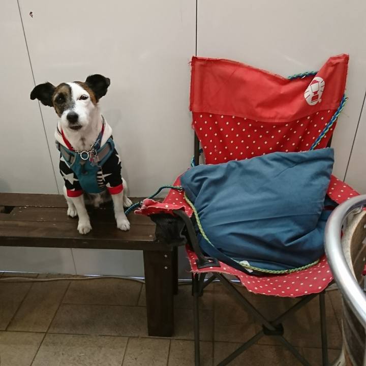 8d5fd4fd 1a24 4b35 88b7 dde5b123babb 1609145456498