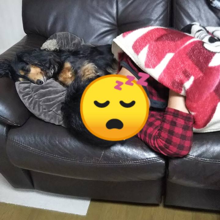 8d601ed0 4724 4e6f a764 530a1d2568c1 1588288669115