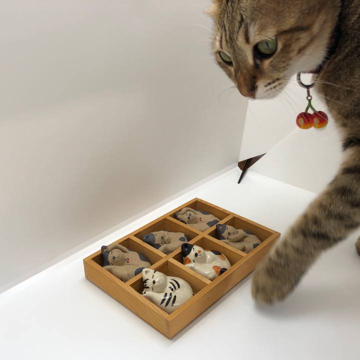 8d603b05 4057 4b79 9261 11fc8b26898c 1632892105099