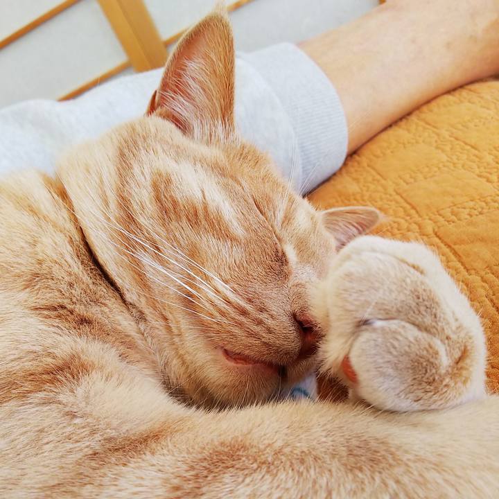 8d6041a5 8157 453e bbc8 88472f1131e0 1592715473528