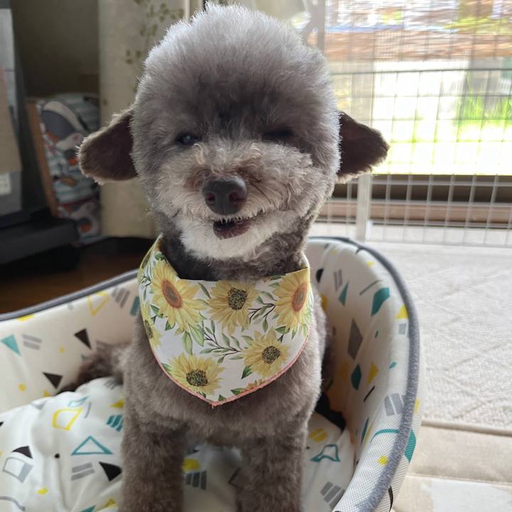 8d605350 5de9 4c63 a436 420fd024626b 1753681008321