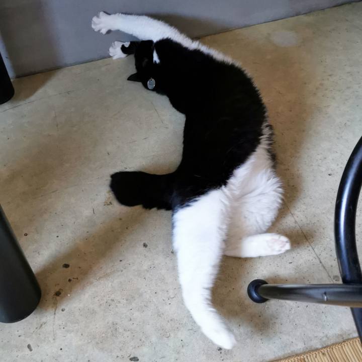 8d609cf1 c283 4d01 affe 6e74d75d6a71 1679455079211