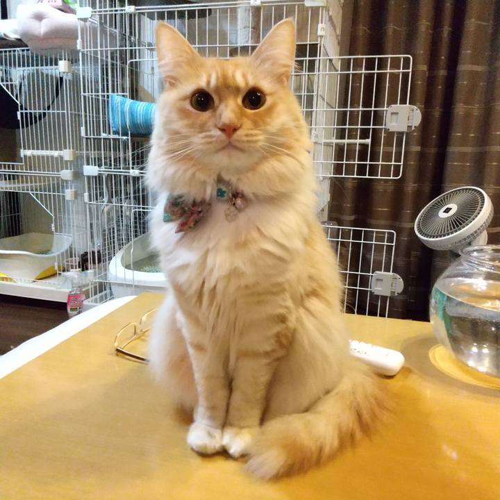 8d60aa50 b213 44af 82b6 7c31857c862e 1645021268784