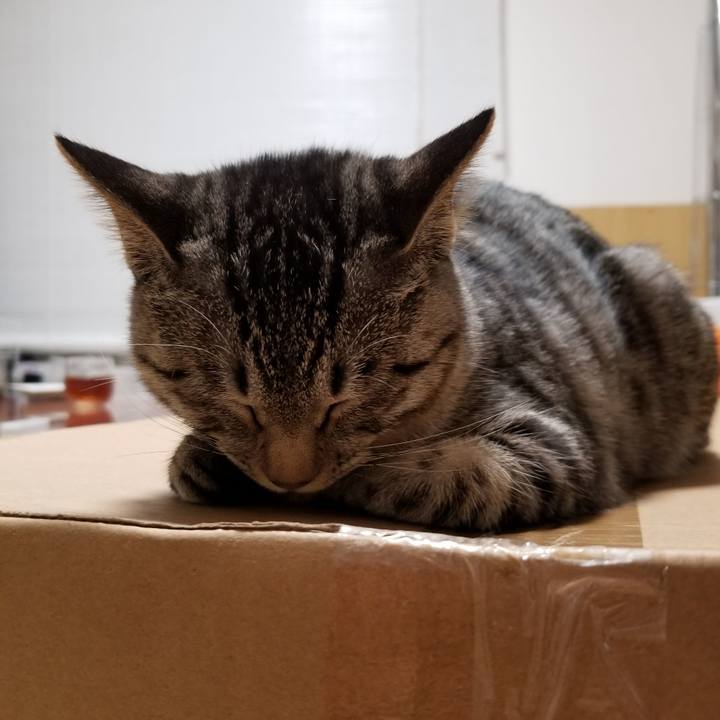 8d60c34f 0b74 4386 89c6 73273b23ad32 1672066060565