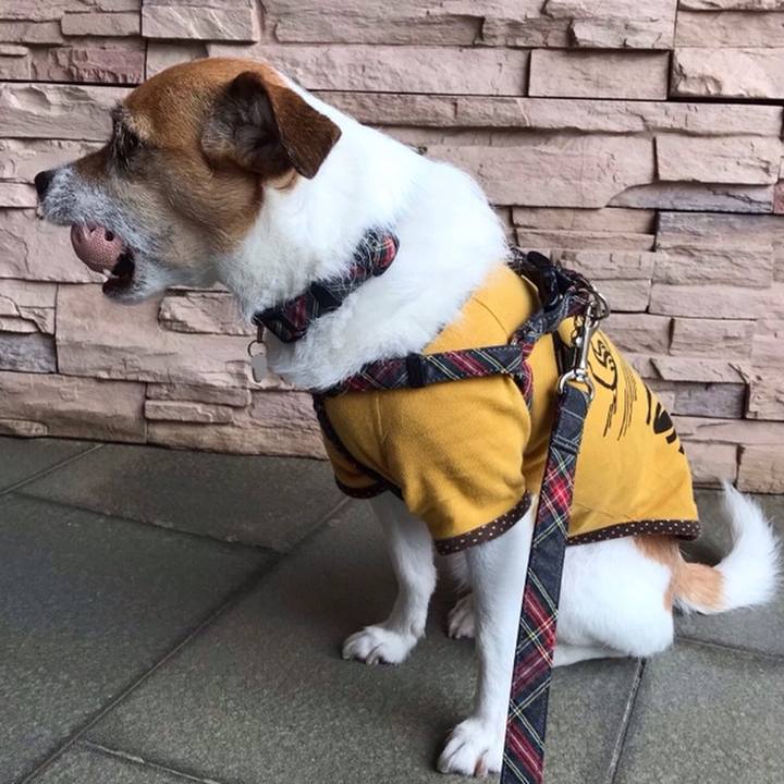 8d60db6b 1bdf 45a1 80ca 82577a2ad5b0 1558167772613