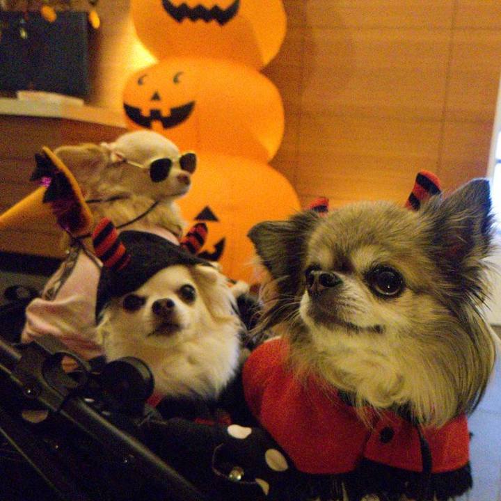 8d6103c6 4d74 497d b998 58984baab921 1666765565242