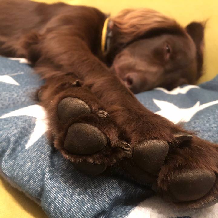 8d6119ed 912b 4bb9 bea1 df2212a09671 1590184465567