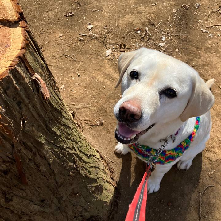 8d61288f ed81 4386 bd50 297e0b445b3a 1677936950267