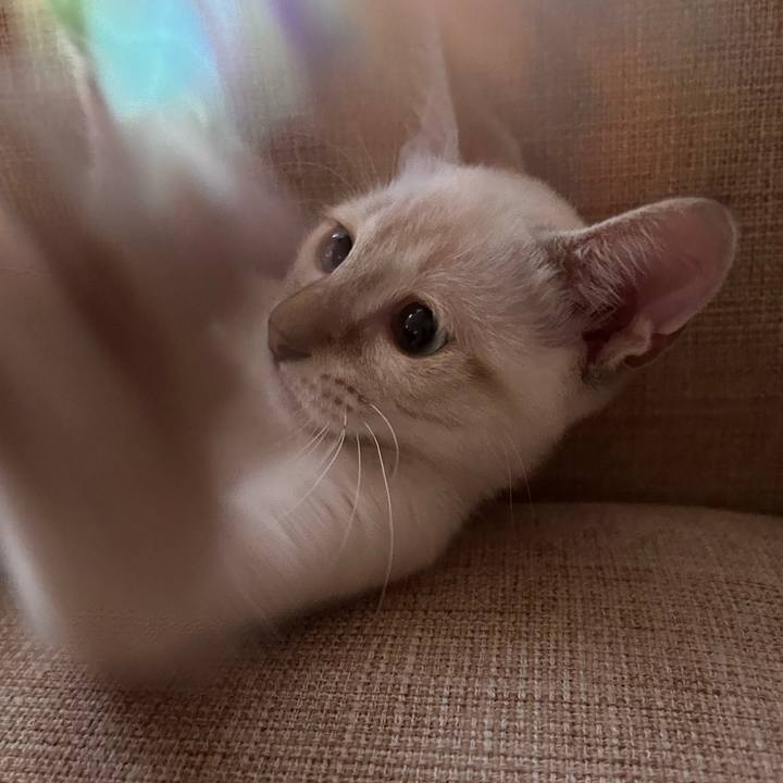 8d612c8f b12c 4ced a709 6ae5b7faeca1 1723761132280