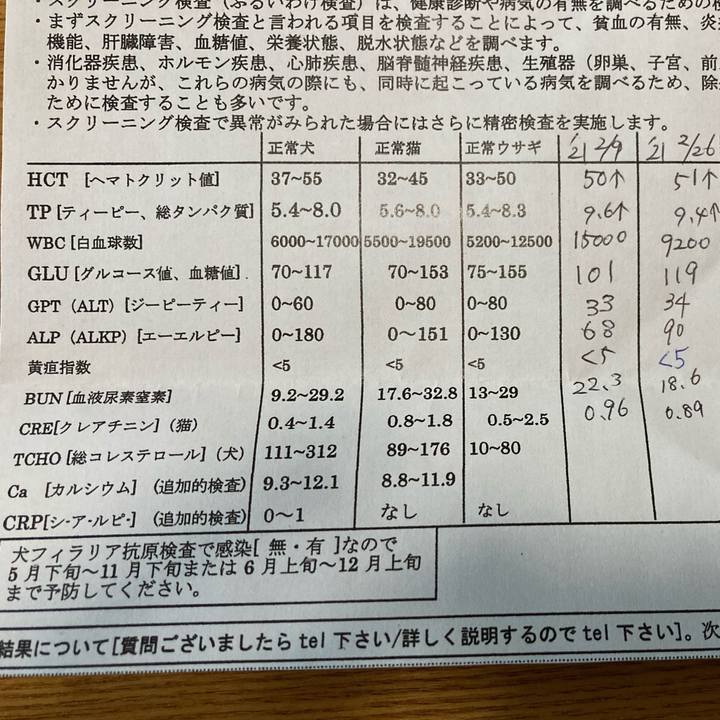 8d614623 72b6 4627 94a6 7240a7b1f009 1625724097875