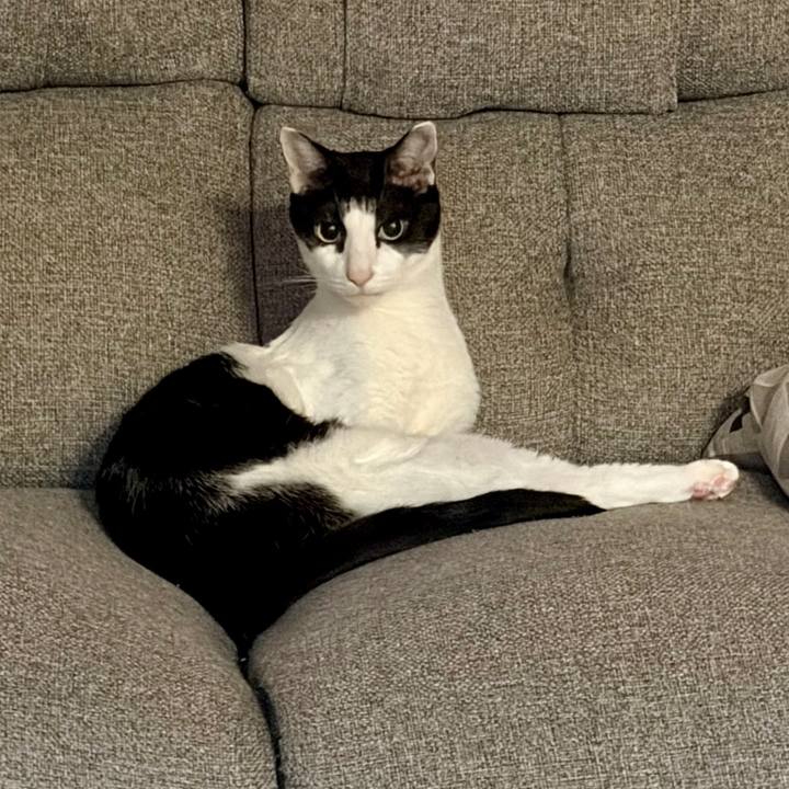 8d614fe1 874b 41de 9a7c 9d916e0f08a1 1768407697353