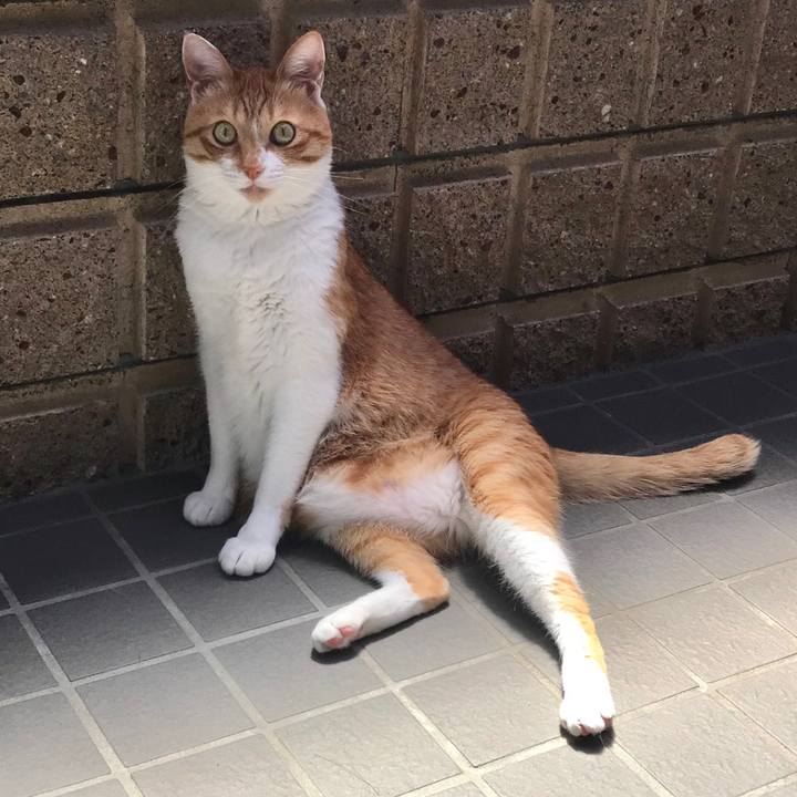 8d61622c 9f60 4777 921d 6fddf5ceffee 1525930689112