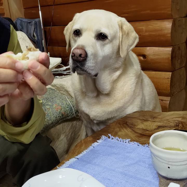 8d6166ad 4e06 461a b18a 1547909f54f6 1697589122176