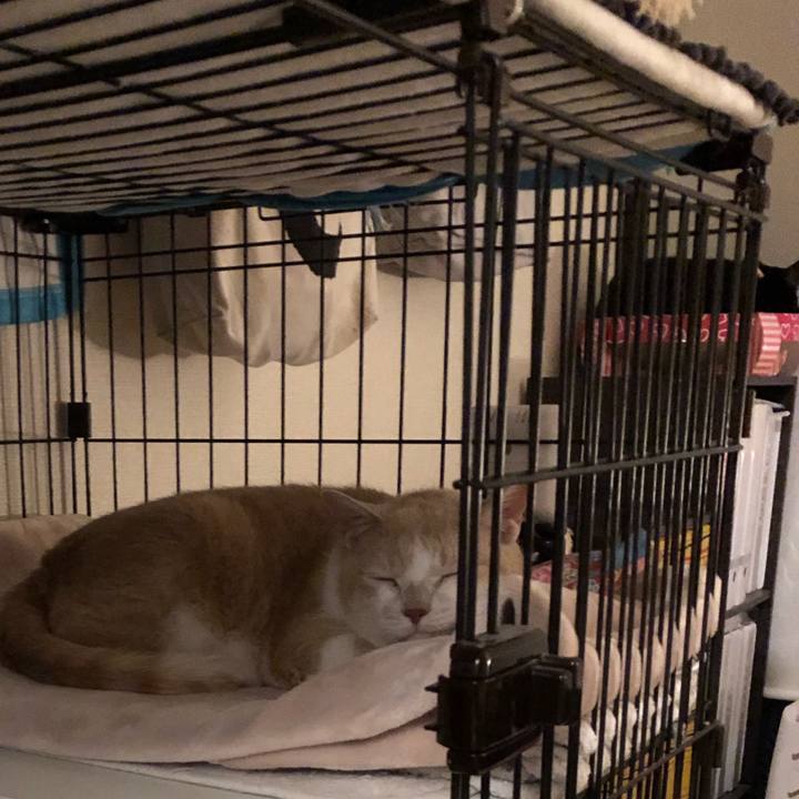 8d6168b3 b14b 45d5 801b dcca2ac51b73 1621423170570