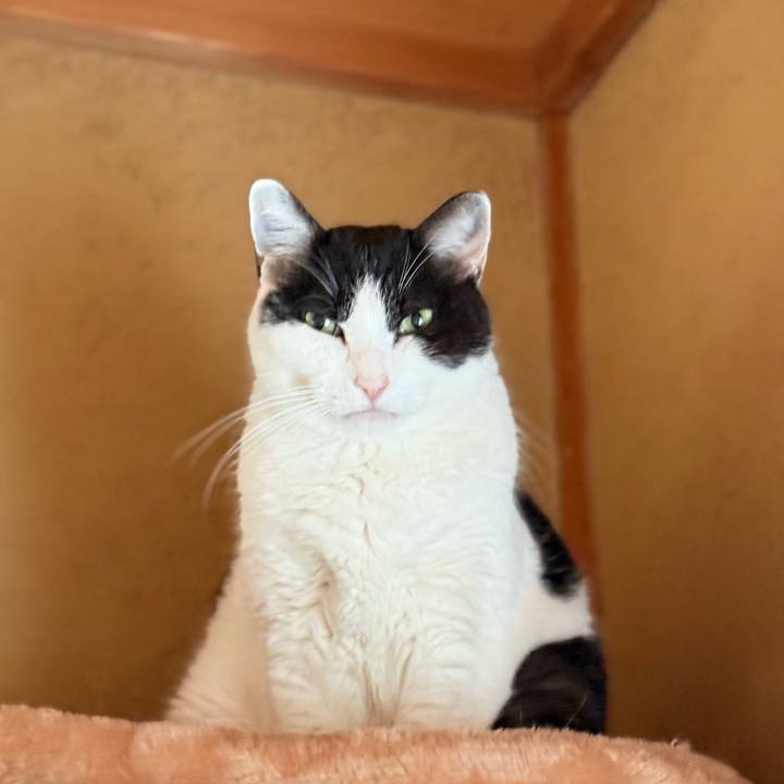 8d617bfe d24e 4c8b b956 92dcb610c65b 1736388957407