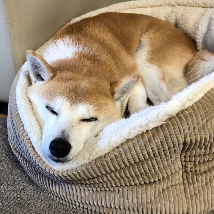 8d619020 72b5 4eae b3d4 0da78393ee64 1670805104032