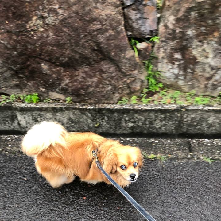 8d619e37 e595 4be1 bb6b 1ecc90844e19 1562015977404