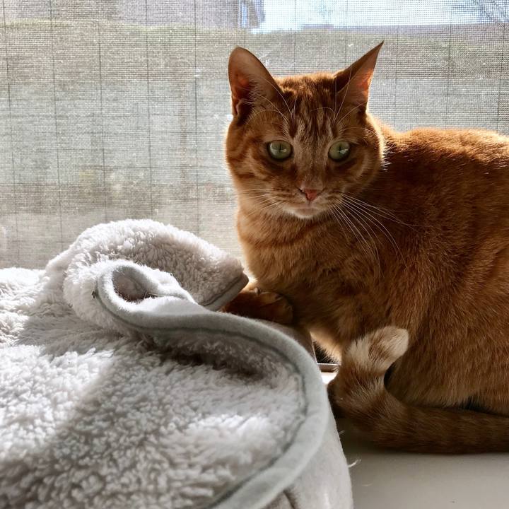 8d61a2f6 fe98 4021 b5f5 9a5ca0eab679 1513941066650