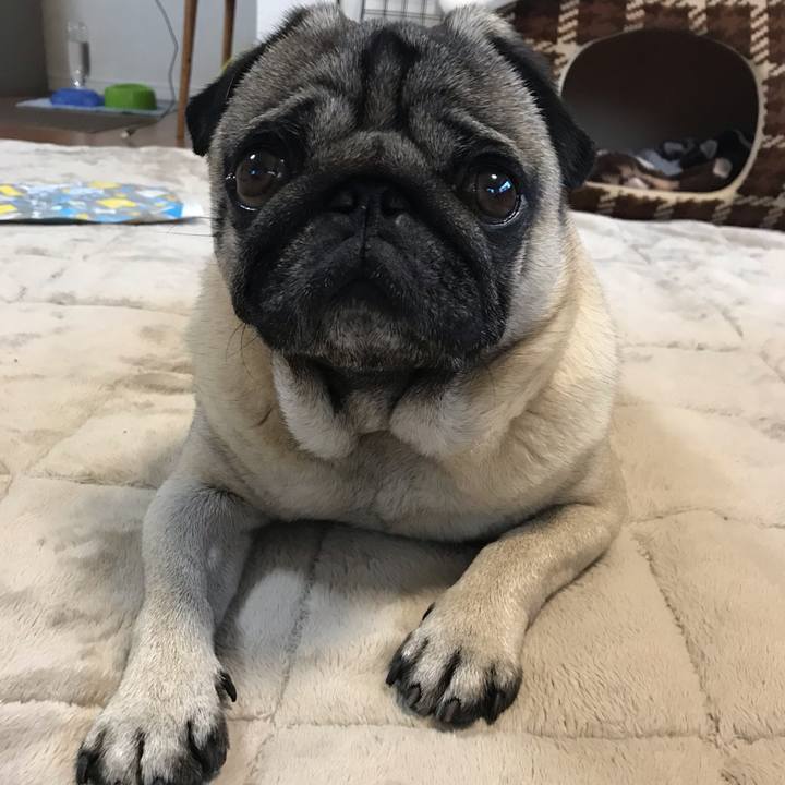 8d61a9af 02ee 459b a7c4 9461b598b1fb 1559435754780