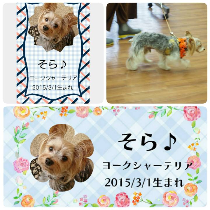 8d61d181 a130 478f 9027 133a04877036 1539638045515