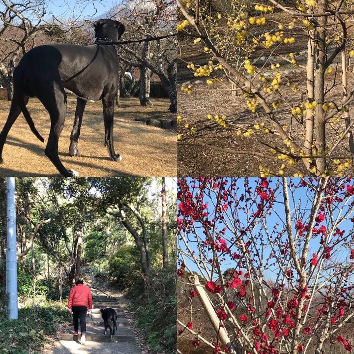 8d61d502 6a3b 44aa 871d 31a98233e4e8 1518835495656