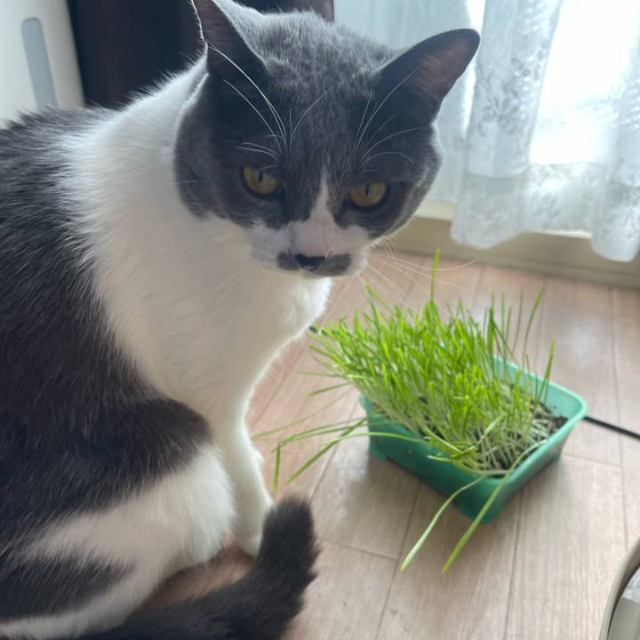 8d61ebea 7037 46ec 9165 48267368fa61 1703035173078