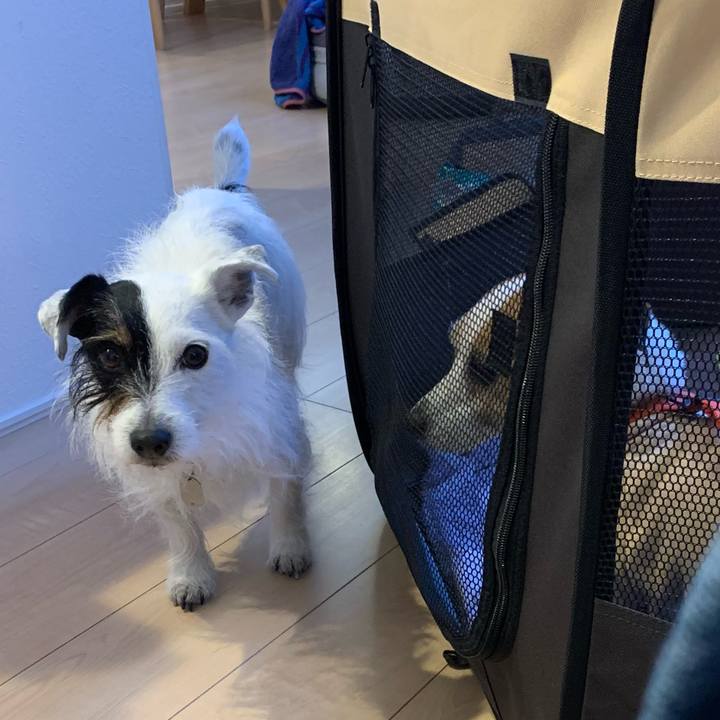 8d6207e1 4100 4987 8a52 7a69ab9e1bea 1646386210991